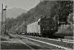 re-620/594697/die-re-620-032-3-mit-einem Die Re 620 032-3 mit einem Güterzug Richtung Norden bei der Durchfahrt in Preglia.
21. Nov. 2017