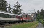 Die SBB Re 620 017 mit einem Güterzug zwischen Clarnes und Montreux auf der Fahrt in Richtung Wallis.