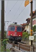 Die SBB Re 6/6 11624 (Re 620 024-0) 'Rothrist' ist bei Ligerz mit einem G�terzug auf dem Weg in Richtung Biel/Bienne. 

24. August 2026