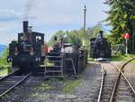 b-c-blonay-chamby/857195/die-leb-g-33-5-und Die LEB G 3/3 5 und die BFD HG3/4 5 (beide Blonay Chamby Bahn) in Chaulin 
4 Aug. 2024