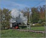 La DER du Blonay Chamby / Saisonabschuss 2024 - Die SEG G 2x 2/2 105 der Blonay Chamby Bahn ist mit ihrem Dampfzug bei Chaulin auf dem weg nach Chamby. 

27. Okt. 2024