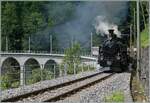 Das  Festival Suisse de la vapeur  (Schweizer Dampffestival 2025) Die Brücke über die Baye de Clarens ist saniert und die HG 3/4 N° der Blonay Chamby Bahn auf dem Weg mit ihrem Dampfzug von Blonay nach Chaulin überquert die Brücke weiterhin mit einer Geschwindigkeit von nur 10 km/h. 

8. Juni 2025