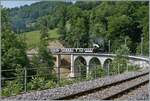 Das  Festival Suisse de la vapeur  (Schweizer Dampffestival 2025) Die Brücke über die Baye de Clarens ist saniert und die HG 3/4 N° der Blonay Chamby Bahn auf dem Weg mit ihrem Dampfzug von Blonay nach Chaulin überquert die Brücke weiterhin mit einer Geschwindigkeit von nur 10 km/h. 

8. Juni 2025