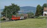 Festival Suisse de la vapeur 2026 (Schweizer Dampffestival 2026) -  Der RhB ABe 4/4 N� 35 der Blonay Chamby Bahn erreicht mit seinem Museumszug Chaulin. 

25. Mai 2026
