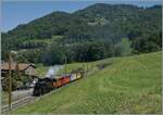 Die BFD HG 3/4 N� 3 ist mit ihrem bunten Dampfzug auf dem Weg von Vevey nach Chaulin und konnte bei Cornaux fotografiert werden. 

25. Mai 2026 