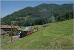 Festival Suisse de la vapeur / Schweizer Dampffestival 2026 - Kurz vor Cornaux ist die BFD HG 3/4 N� 3 der Blonay Chamby Bahn mit einem bunten Dampfzug unterwegs.