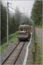 Bahnen der Jungfrau Region/856675/die-regionalzuge-r66-verkehren-immer-mit Die Regionalzuge R66 verkehren immer mit einem Vorstellwagen welche auch meist beladen sind, führ doch keine Strasse (für LKW) nach Mürren. 

BLM Be 4/4 31 'Lisi' auf der Fahrt nach Grütschalp kurz nach Mürren. 

23. Juli 2024