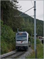 Der Be 4/6 102  Mönch  hat Grütschalp verlassen und ist nun auf der Fahrt nach Mürren.

8. Aug. 2024