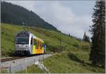 Einer der beiden neuen BLM Be 4/6 ist zwischen Winteregg und Grütschalp auf der Fahrt von Mürren nach Lautbrunnen (mit Umsteigen auf die Seilbahn in Grütschalp). 

8. Aug. 2024