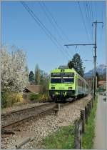 Ein BLS Regionalzug nach Interlaken Ost verlsst Leissigen.
9. April 2011