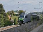 Der BLS MUTZ RABe 515 019 verlässt als S6 nach Bern den Bahnhof von Schwarzenburg . 

1. Oktober 2020