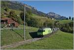 Die BLS Re 465 002 mit dem GoldenPass Express GPX von Interlaken Ost nach Montreux bei Enge im Simmental.