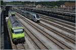 Blick auf den Bahnhof von Spiez mit der BLS Re 465 013 und einem RABe 528  MIKA .