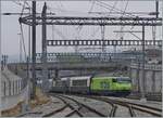 Die BLS Re 465 011 erreicht mit dem GoldenPass Express GPX 4065 von Interlaken Ost nach Montreux den Bahnhof von Spiez. 

18. Feb. 2025