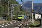 Am Schluss des langen Güter-Zuges auf der Fahrt in Richtung Brig hilft die BLS Re 465 als Schiebelok. Das Bild entstand in Preglia, am nördlichen Ende des Bahnsteigs. Ein interessantes Detail: die Weichenlaterne im Vordergrund für die Abzweigung aufs Abstellgleis wurde in Schweizer Bauart ausgeführt, während die Weichenlaterne für den Spurwechsel gut hundert Meter weiter hinten italienischer Bauart entspricht. 31. Oktober