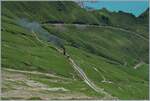 brb-brienz-rothhorn-bahn/835091/ein-brb-dampfzug-ist-zwischen-chueeboden Ein BRB Dampfzug ist zwischen Chüeboden und der Gipelstatin unterwegs. Ganz oben im Bild ist zudem der Brienzersee zu sehen.

7. Juli 2016