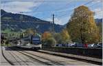 Ein MOB Alpina Regionalzug nach Montreux erreicht Saanen.