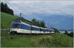 Mit dem neu gestalteten Steuerwagen Ast 151 fährt der MOB GoldenPass Panoramic Zug bei Planchamp in Richtung Montreux.