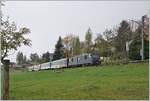 mob-goldenpass/717338/die-mob-gde-44-6002-mit Die MOB GDe 4/4 6002 mit einem Panoramic Express auf dem Weg nach Zweisimmen bei Les Avants. 

28. Okt. 2020