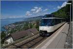 mob-goldenpass/849652/noch-mehr-panorama-bietet-dank-weitwinkel Noch mehr Panorama bietet (dank Weitwinkel) dieses Bild Mit dem Ast 151 an der Spite ist ein MOB Regionalzug von Montreux nach Zweisimmen bei Sonzier unterwegs, während links im Bild der Blick weit über den See, die Riviera Vaudoise und das Lavaux gleitet. 

28. Mai 2024