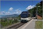 mob-goldenpass/849653/bild-mit-aussicht-waehrend-der-cev Bild mit Aussicht: Während der CEV MVR ABeh 2/6 7503  'Blonay-Chamby' als Regionalzug von Montreux nach Les Avants den Bahnhof  Sonzier erreicht, gleitet links der Blickj weit über die Riviera Vaudoise und das Lavaux. 

28. Mai 2024