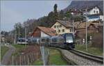 Eine MOB Ge 4/4 Serie 8000 ist mit ihrem GoldenPass Express bei Planchamp von Interlaken Ost nach Montreux unterwegs. Der Zug wurde in Zweisimmen umgespurt.

28. Feb. 2024