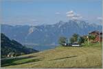 Mit Blick auf Walliser und Savoyer Alpen sowie den Genfersee als Bildhintergrund, erscheint die MOB Ge 4/4 8002 mit dem Golden Pass Express GEX 4064 von Montreux nach Interlaken Ost bei Les Avants. In Zweisimmen wird eine BLS Re 465 die MOB ge 4/4 8002 ablösen. 

28. Juni 2024