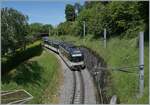 mob-goldenpass/854494/bei-sonzier-ist-der-mob-abe Bei Sonzier ist der MOB ABe 4/4 9302 mit seinem Regionalzug Zweisimmen - Montreux unterwegs. 

28. Mai 2024