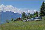 mob-goldenpass/868254/die-mob-ge-44-8004-ist Die MOB Ge 4/4 8004 ist bei Les Avants mit dem GoldenPass Express GPX auf dem Weg von Montreux nach Interlaken Ost. 

28. Mai 2024