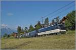 Die MOB Ge 4/4 8002 ist mit ihrem GPX bei Les Avants auf dem Weg in Richtung Interlaken Ost, wobei ab Zweisimmen eine BLS Re 465 den Umspurzug übernehmen wird. 

28. Juni 2024

