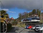 Erstaunlich, einige Höhenmeter tiefer fahren die MOB Züge bereits wieder unter Palmen. Der CEV MVR ABeh 2/6 ist als Regionalzug von Les Avants nach Montreux unterwegs und konnte bei Planchamp fotografiert werden. 

3. Jan. 2025