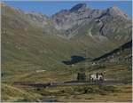Beim Anstieg zum Bernina konnte dieser in der weiten Bergwelt fast verschwindende RhB Bernina Zug fotografiert werden     13.