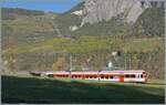 Kurz nach der Abfahrt in Sembrancher fährt der TRM Region Alps RABe 525 038 die starke Neigung ins Tal hinunter und gleich auch noch an typischen Walliser Kühen vorbei.