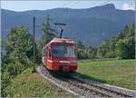 Der TMR BDeh 4/8 21 ist zwischen Salvan und Les Mar�cottes auf dem Weg von Martingy nach Vallorcine. 

11. Juli 2026