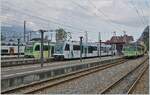 Der Bahnhof von Aigle mit TPC Zügen in alle Richtungen: Der TPC Beh 2/6 545 wird nach Champéry fahren, der neue TPC ASD ABe 4/8 473  Glacier 3000  nach Les Diablerets und der A-L Pendelzug nach Leysin. 

3. Aug. 2024