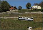 Der 1914 zur Eröffnung der Bahn beschaffte BCFe 4/4 N°1 ist in den Rebbergen oberhalb von Aigle auf einer Sonderfahrt.