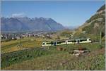 Der TPC ASD ABe 4/8 471 ist oberhalb von Aigle in den Weinbergen auf der Fahrt zum Bahnhof von Aigle. 
29. Okt. 2024 Der TPC ASD ABe 4/8 471 ist oberhalb von Aigle in den Weinbergen auf der Fahrt zum Bahnhof von Aigle. 
29. Okt. 2024