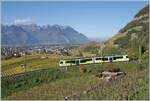 Einer der drei neuen TPC ASD ABe 4/8 ist oberhalb von Aigle in den Weinbergen unterwegs. 

29. Oktober 2024