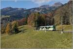 Zwischen Le S�pey und Les Planches ist ein zum Aufnahme Zeitpunkt neuer TPC ASD ABe 4/8 unterwegs.