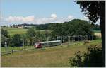 tpf-transport-publics-fribourgoise/730854/ein-tpf-flirt-auf-seiner-fahrt Ein TPF Flirt auf seiner Fahrt nach Bulle zwischen Fribourg und Romont. 

2. Juni 2018