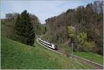 tpf-transport-publics-fribourgoise/821098/ein-sbb-rbde-560-domino-ist Ein SBB RBDe 560 Domino ist bei Pensier auf der Fahrt in Richtung Fribourg. 

19. April 2022 