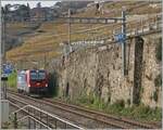 Die 193 054, vermietet an SBB Cargo, ist als Lokfahrt zwischen Rivaz und St-Saphorin auf dem Weg in Richtung Vevey. 

12. Nov. 2024