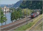 Die Vectron sind zurück: Nach ETCS Problemen (und dem Abzug der Vectron von der Simplonstrecke), sind die Loks mittlerweile wieder im Einsatz.