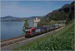 An bekannter Fotostelle bei Villeneuve mit dem Ch�teau de Chillon im Hintergrund f�hrt die von SBB Cargo angemietete 193 062 (UIC 91 80 6193 062-7 D-RCM) mit einem kurzen G�terzug in Richtung Wallis. 

2. September 2026