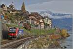 im-lauvaux/867494/die-letzten-bunten-blaetter-baumeln-noch Die letzten bunten Blätter baumeln noch an Sträuchern und Bäumen, der erste Schnee verzuckert die Berge - es ist Herbst; und dieser bietet ein Licht, wie es sonst das ganze Jahre nicht zu sehen ist. Grund genug, trotz kalter Bise, zu fotografieren: Die 193 054, vermietet an SBB Cargo, ist als Lokfahrt zwischen Rivaz und St-Saphorin auf dem Weg in Richtung Vevey.

12. Nov. 2024