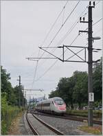ETR 610/818237/ein-sbb-rabe-503-erreicht-auf Ein SBB RABe 503 erreicht auf seiner Fahrt von Mènchen nahc Zürich HB den Bahnhof von Bregenz. 

18. Juni 2023
