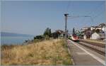 Ein SBB RABe 503 / ETR 610 ist bei Rivaz als EC von Milano nach Lausanne unterwegs. 

12. August 2026