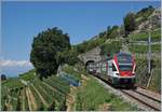 Infolge Grundsanierung und der damit verbundenen Sperrung der Strecke (Bern-) - Puidoux- Lausanne verkehrten nach einem Ersatzfahrplan (SBB Sommerfahrplan 2018) IR Züge von Genève nach Fribourg via Vevey, im Bild ist ein solcher auf der  Train des Vignes (Rebbergstrecke) zu sehen.  

19. Juli 2018