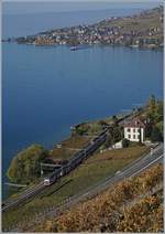 Ein SBB RABe 511 fährt als RE von Genève nach Vevey kurz nach Cully dem Genfersee entlang.