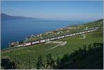 Hoch über dem Genfer See sind zwei SBB RABe 511 Triebwagenzüge im Umleitungsverkehr unterwegs.